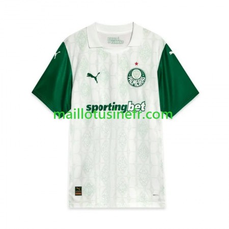 Maillot de Foot Palmeiras Extérieur 2025
